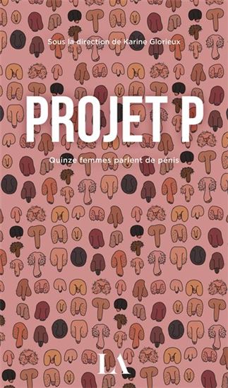 Projet P book cover