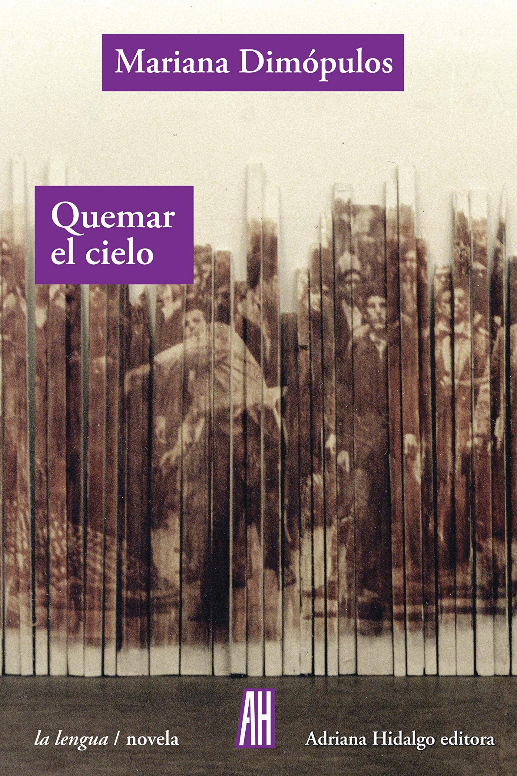 Quemar el cielo book cover