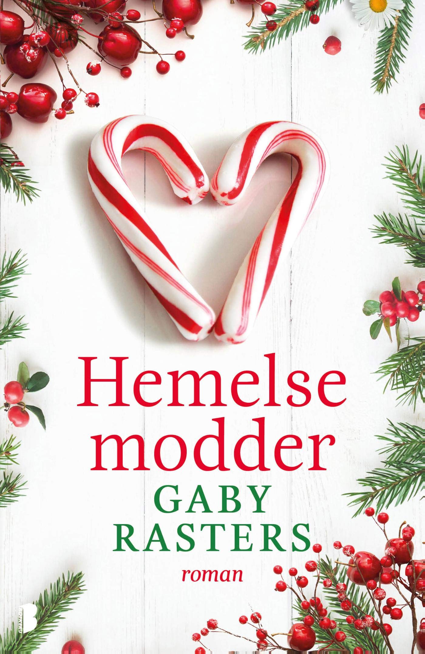 Hemelse modder book cover
