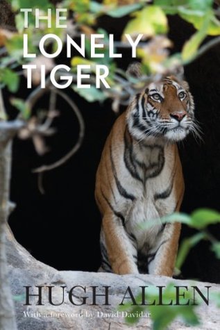 The Lonely Tiger
