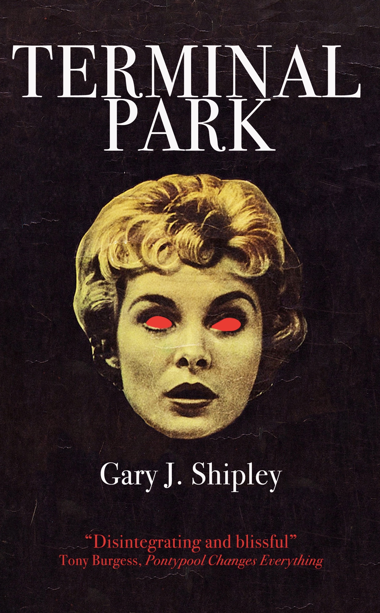Terminal Park book cover