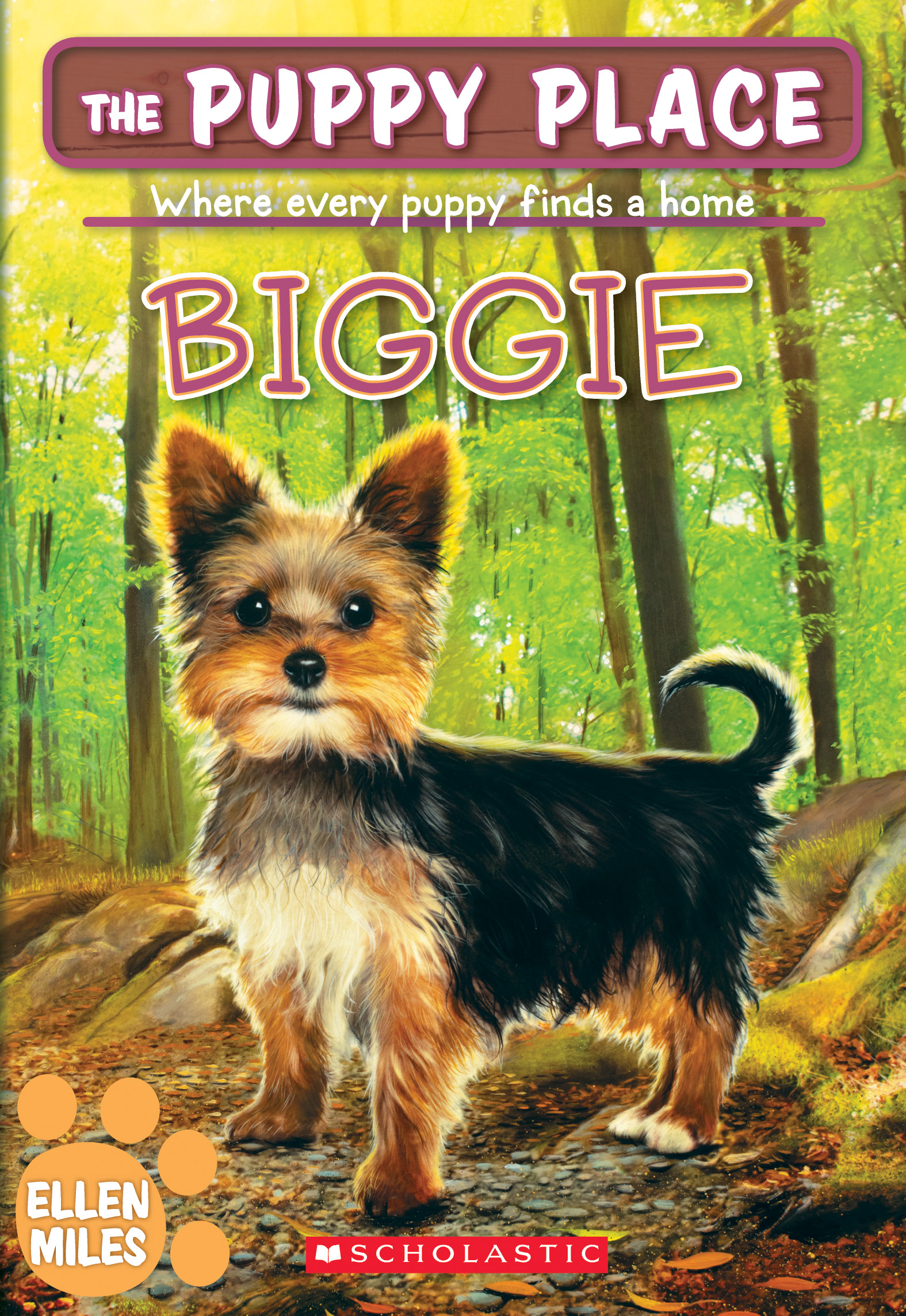 Biggie book cover