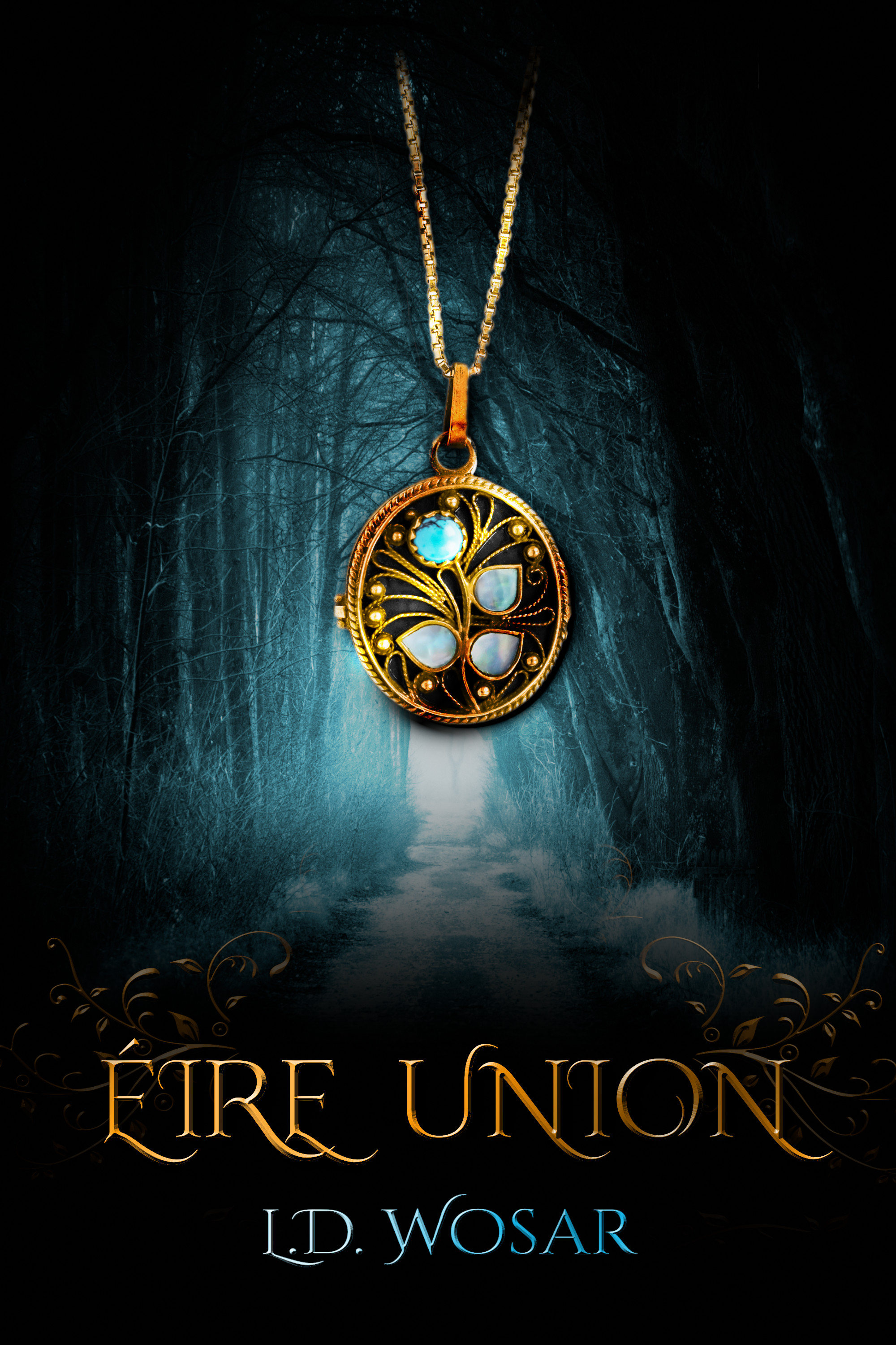 Eire Union book cover
