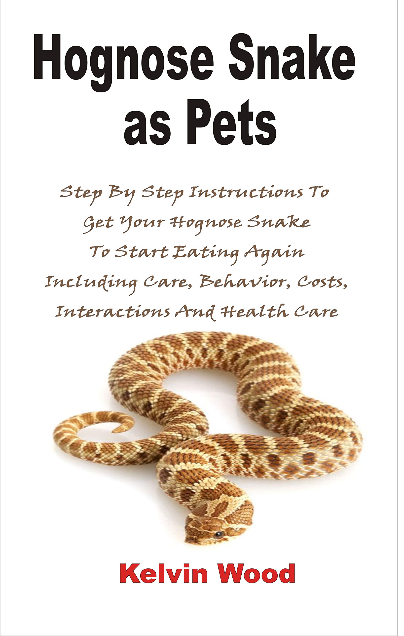 Hognose Snake as pets Step By Step Instructions To Get Your Hognose