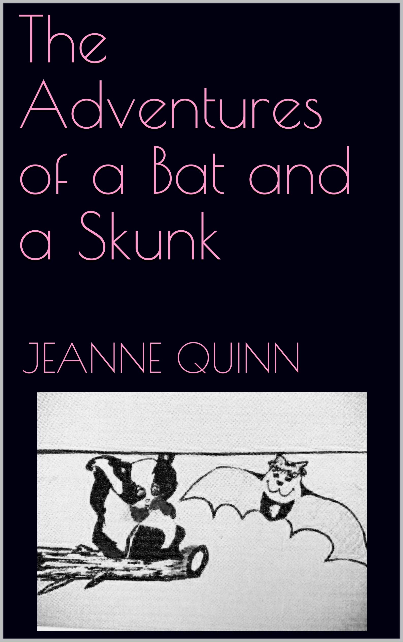 The Adventures of a Bat and a Skunk by Jeanne Quinn | Goodreads