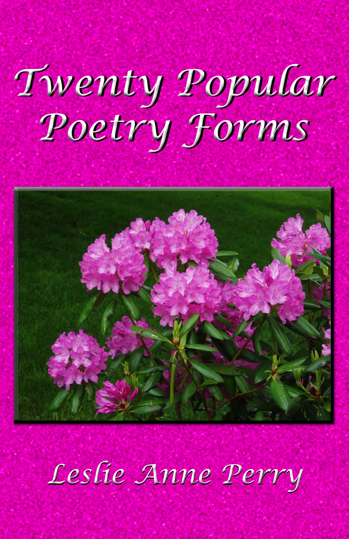 twenty-popular-poetry-forms-by-leslie-anne-perry-goodreads
