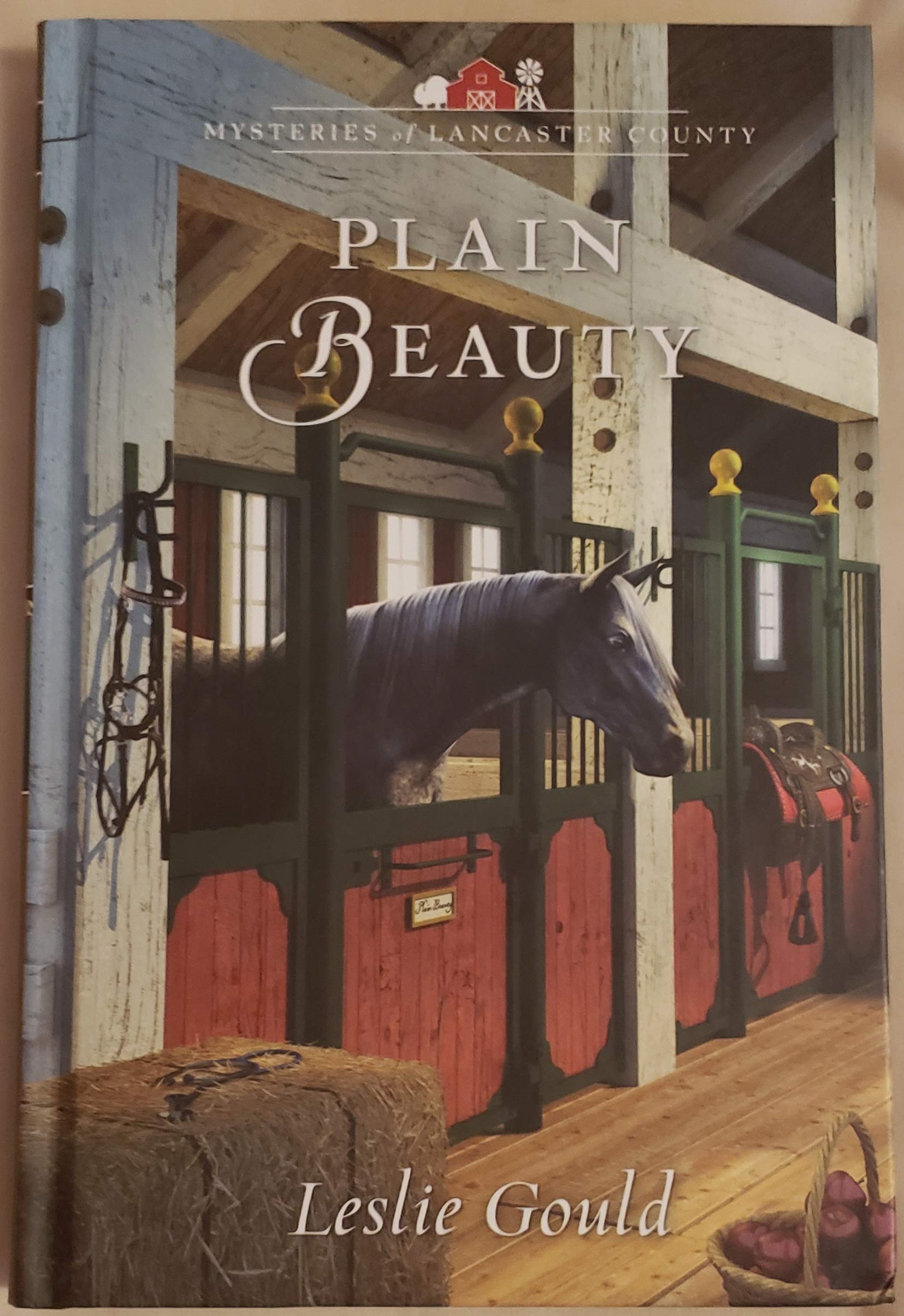 Plain Beauty book cover