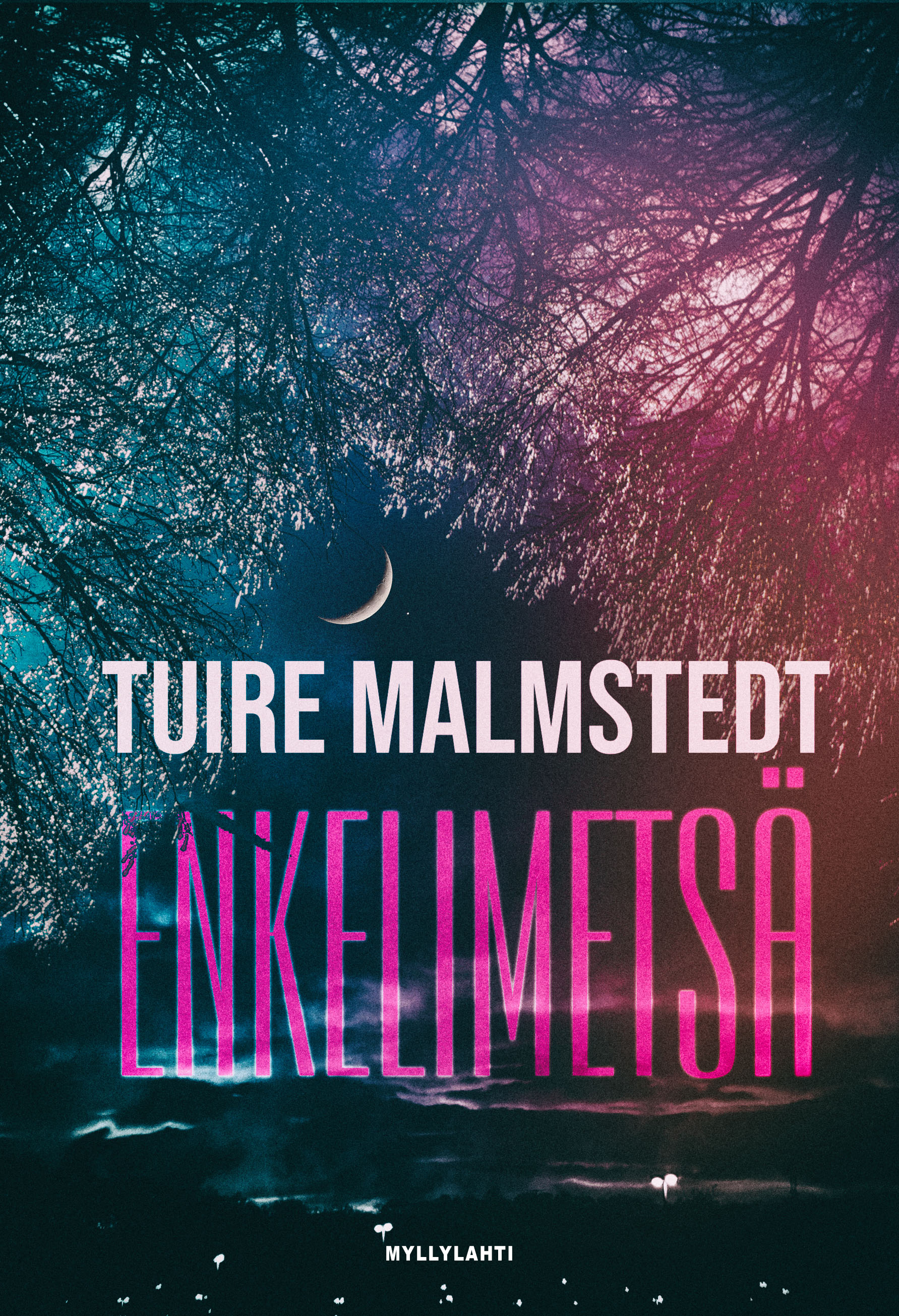 Enkelimetsä book cover