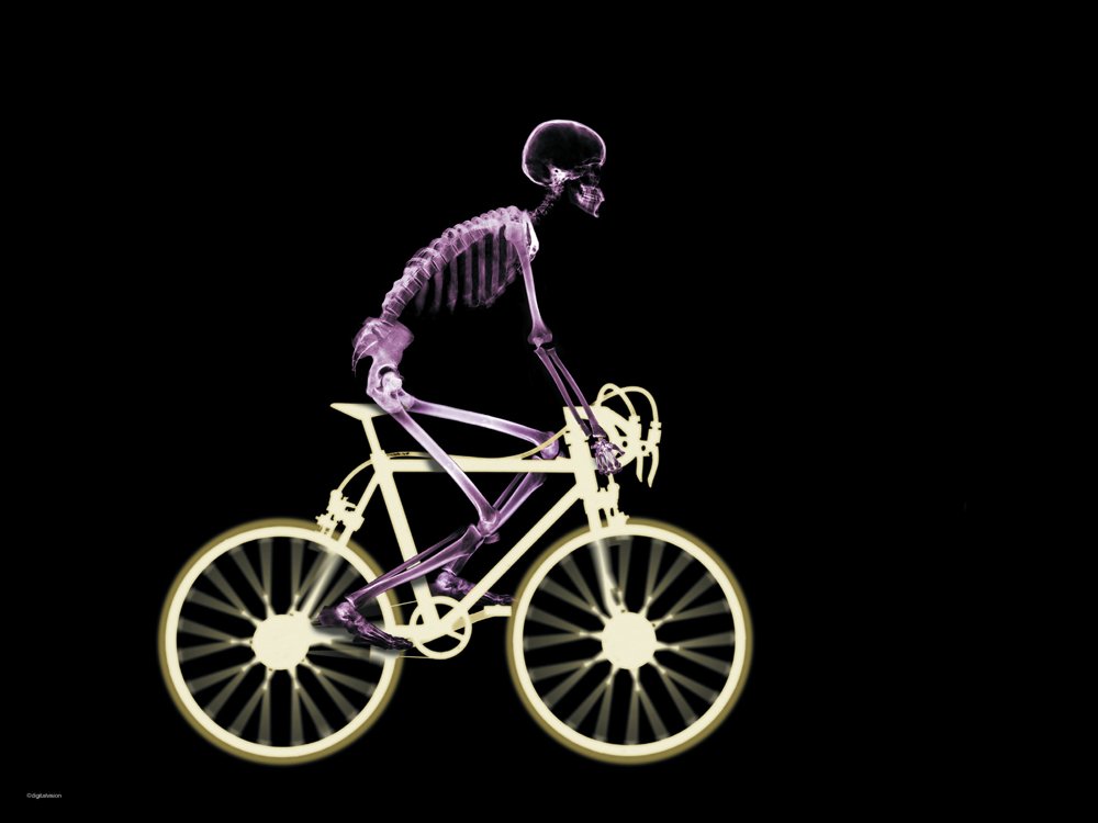Skeleton Riding Bike Poster by Jean Latz Griffin Goodreads