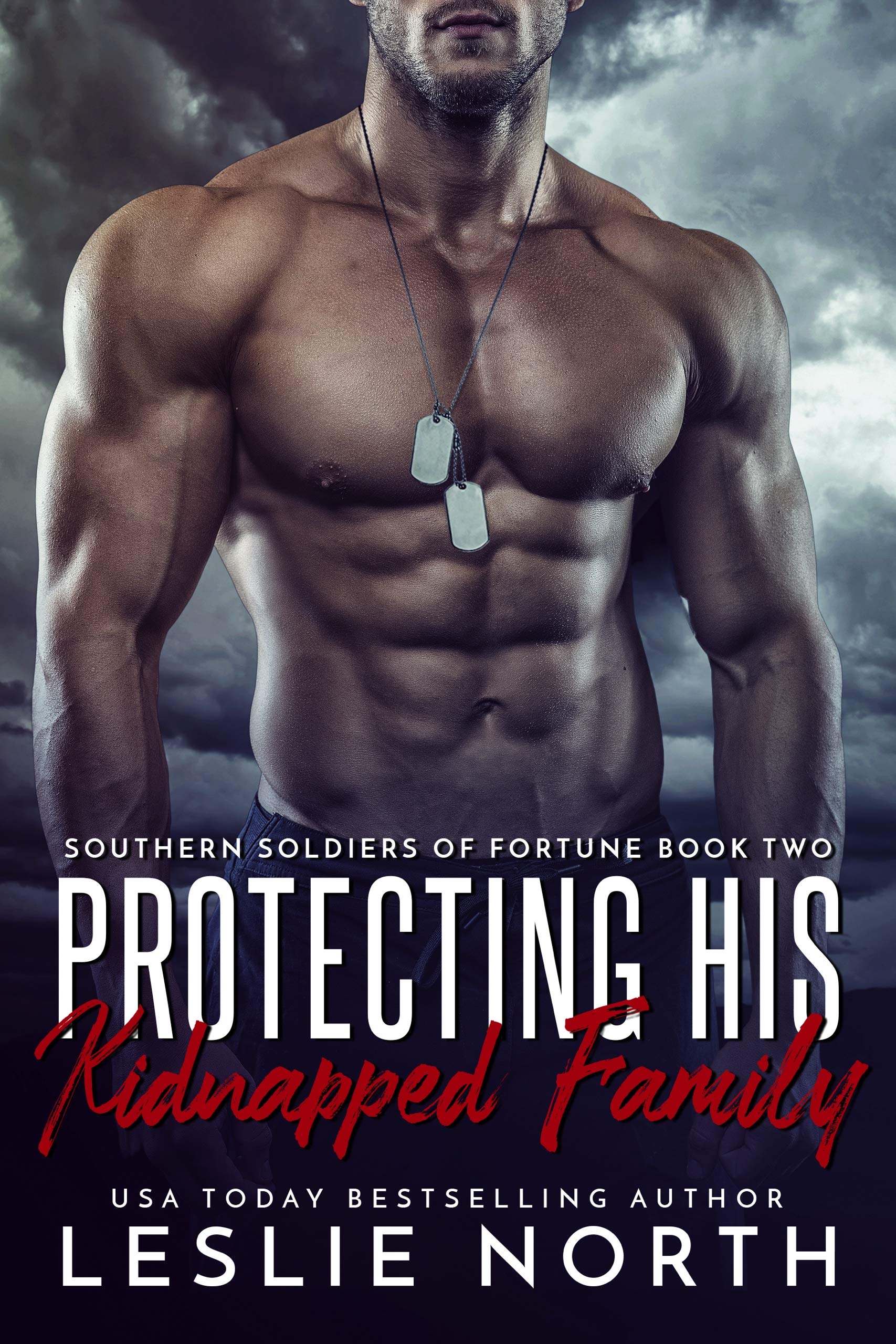Southern Soldiers of Fortune book cover 2
