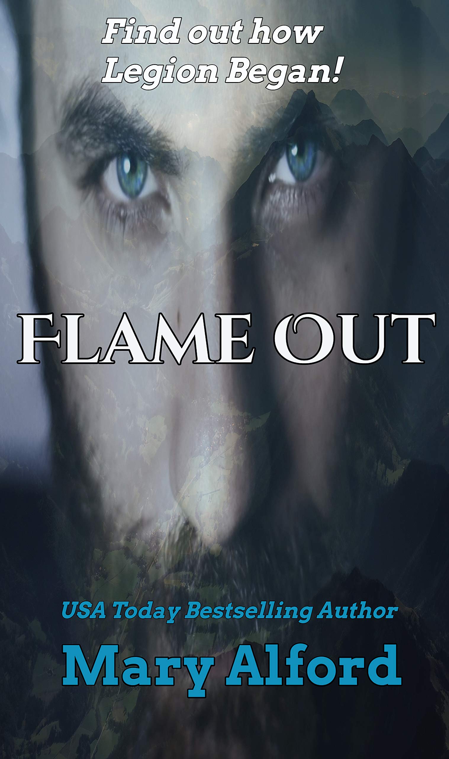 Flame Out book cover