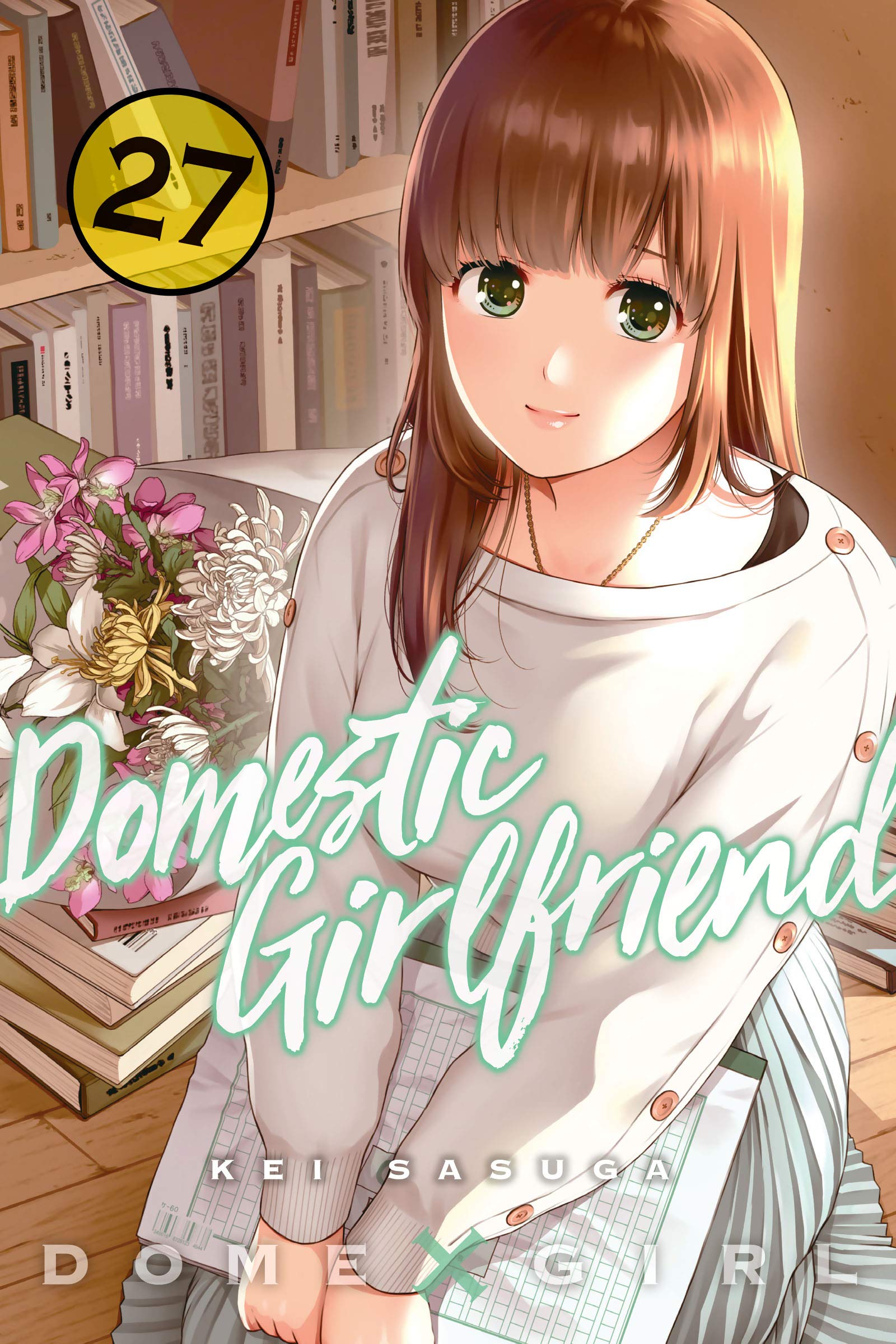 Domestic Girlfriend, Vol. 27 book cover