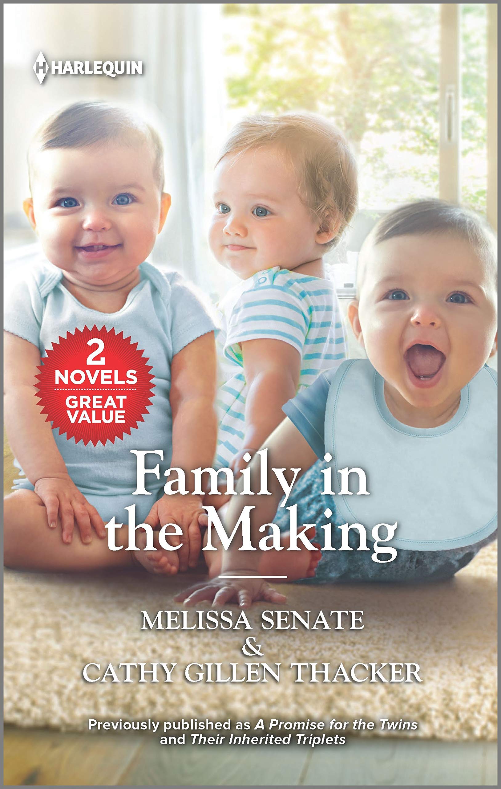 Family in the Making book cover