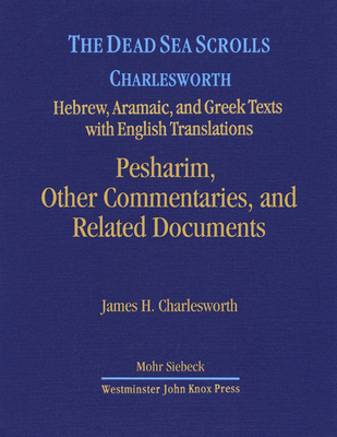 Israel visual data 3