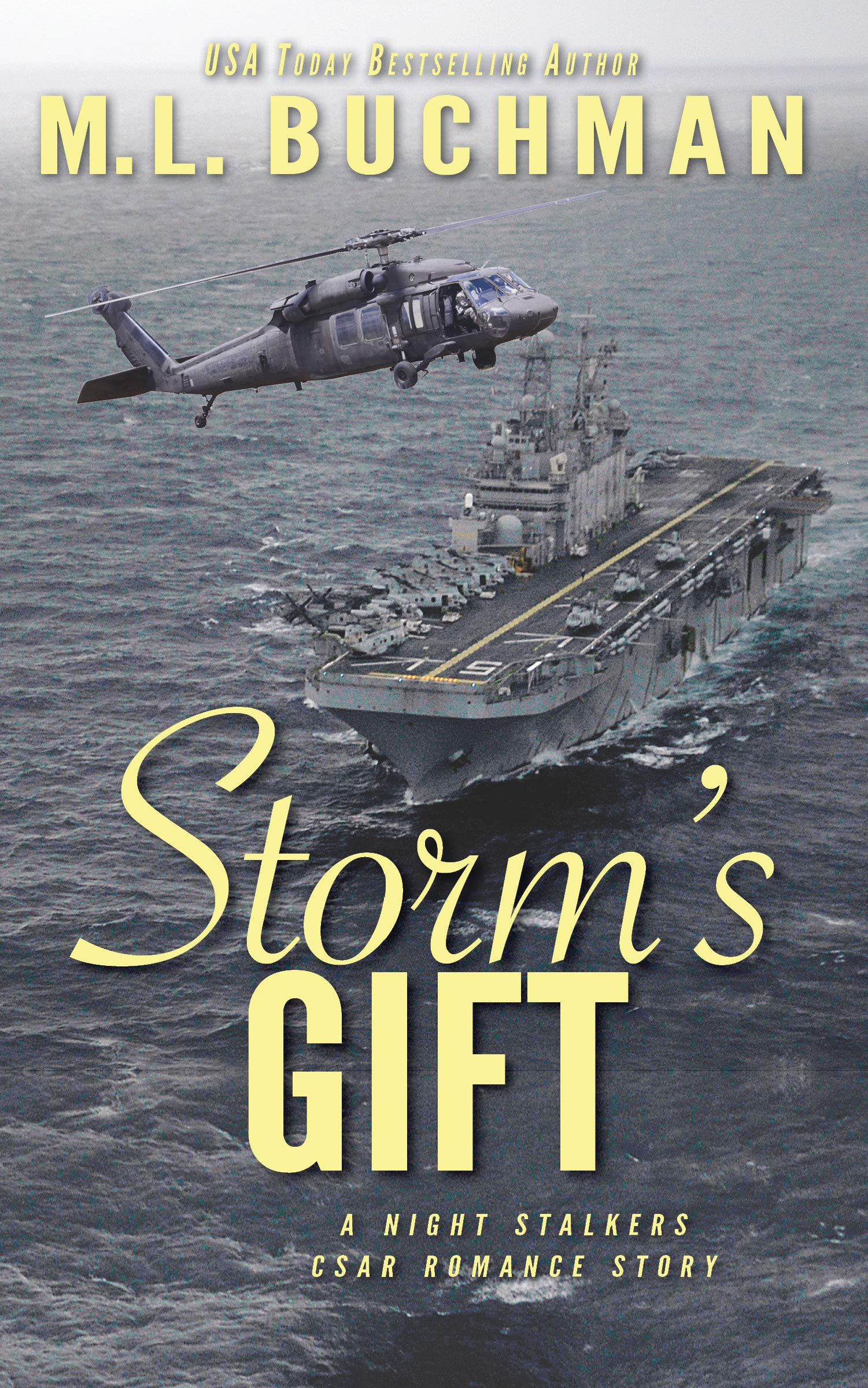 Storm's Gift book cover
