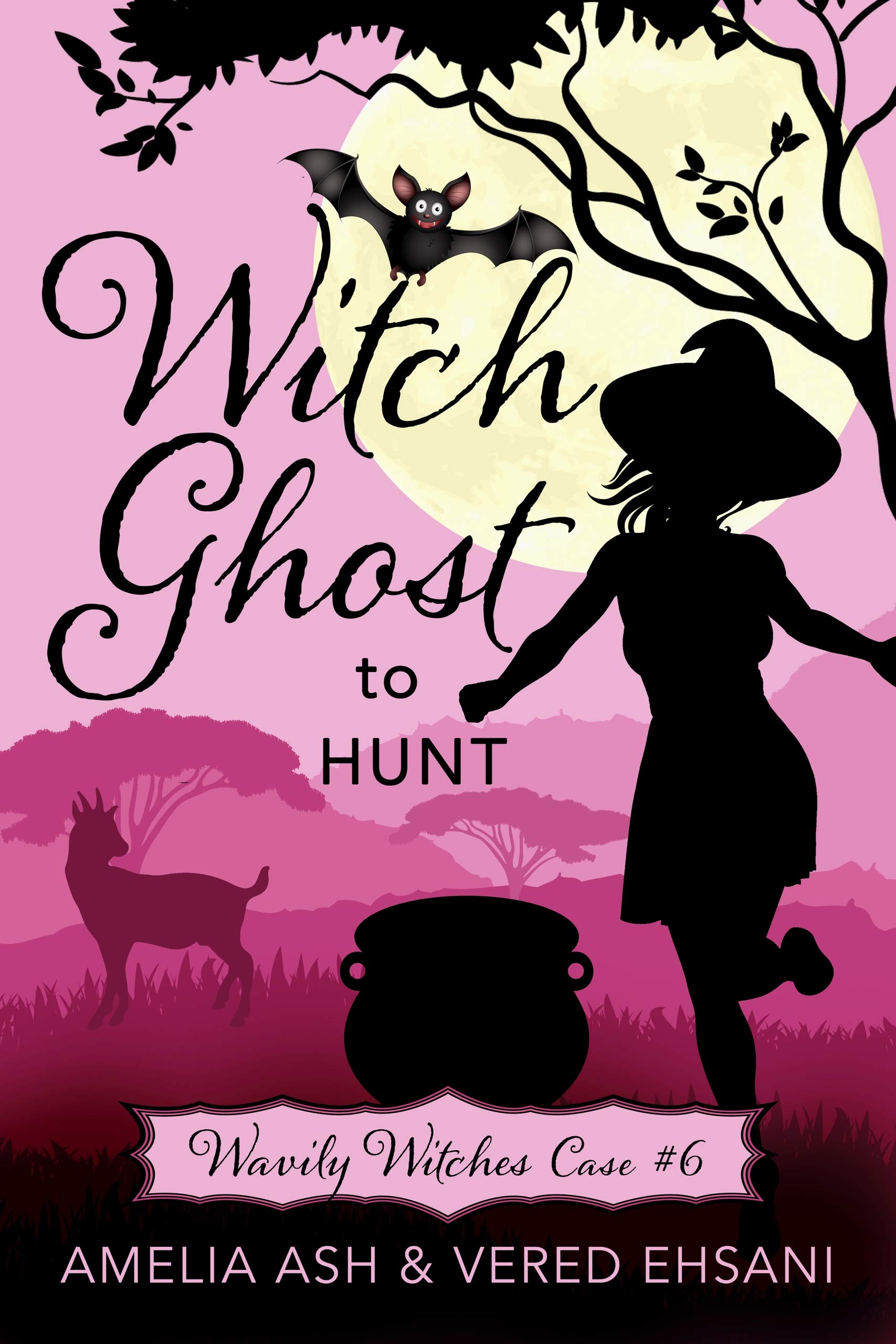 Witch Ghost To Hunt book cover