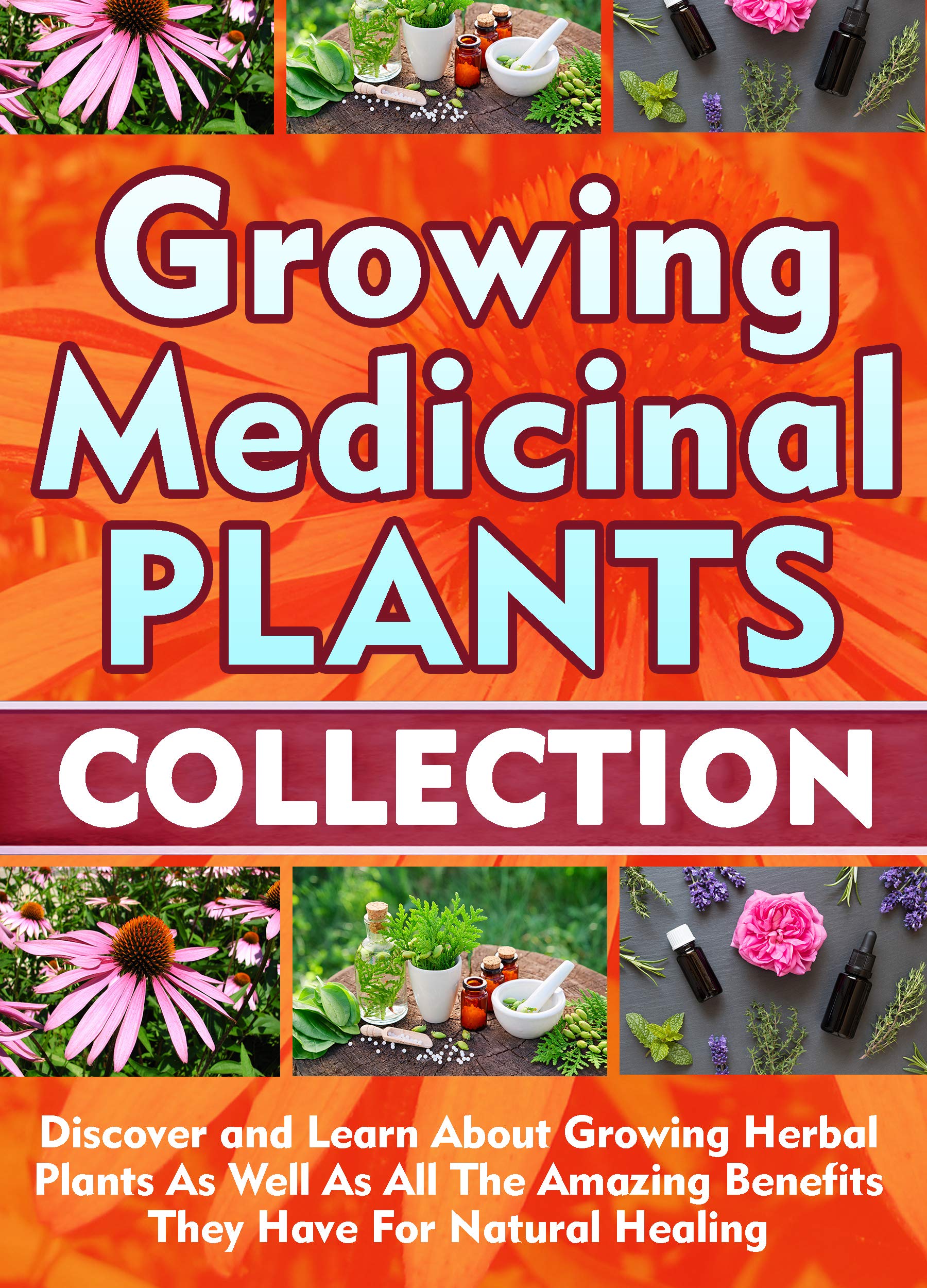 Growing Medicinal Plants Collection Discover and Learn About Growing