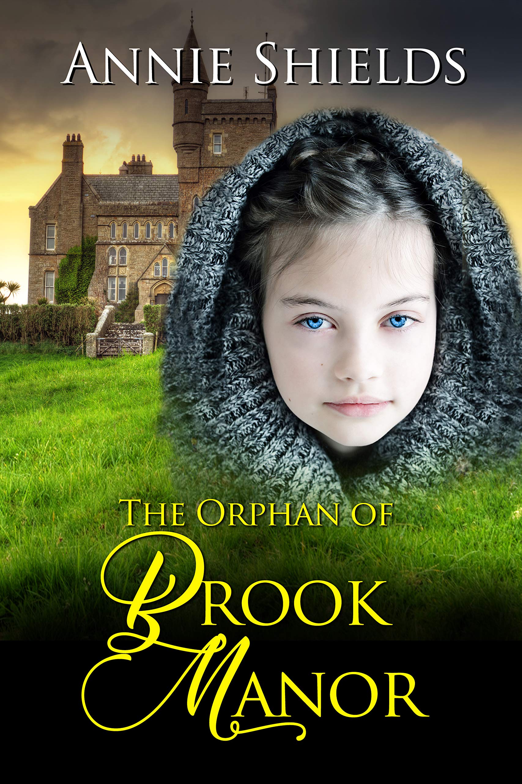 The Orphan of Brook Manor