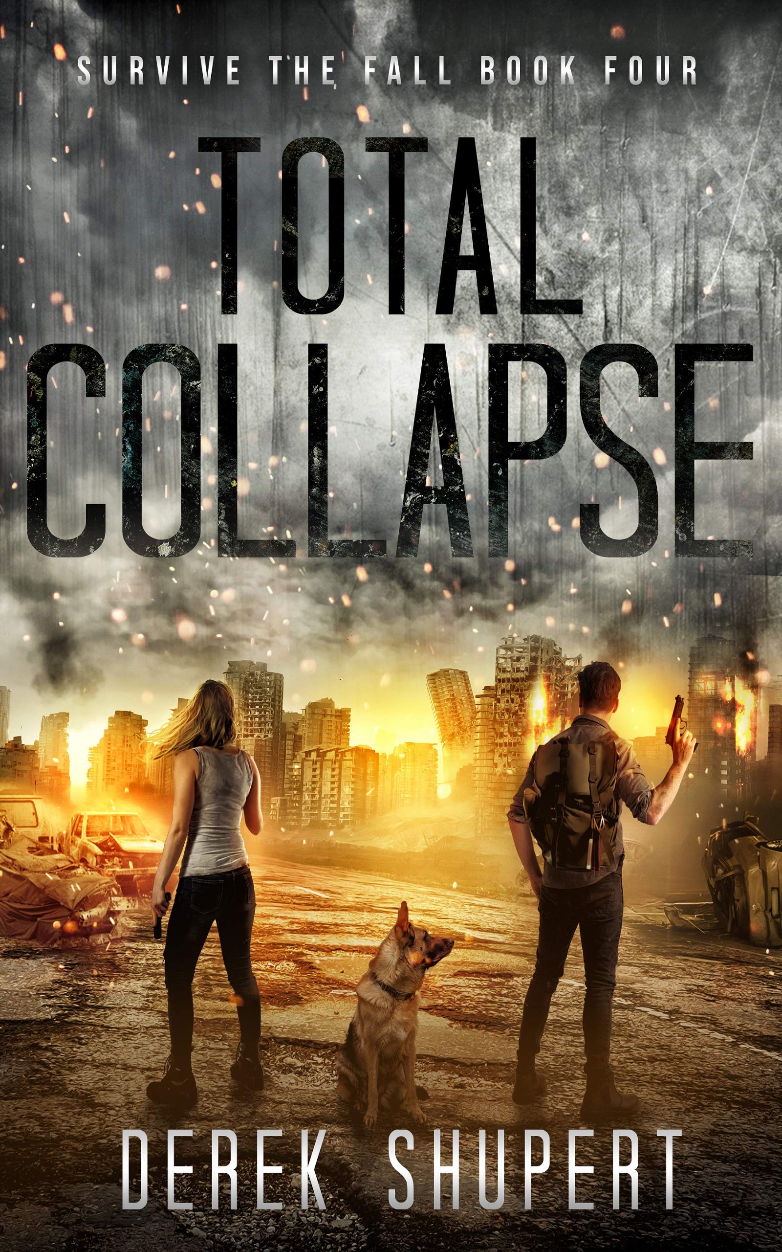 Total Collapse book cover