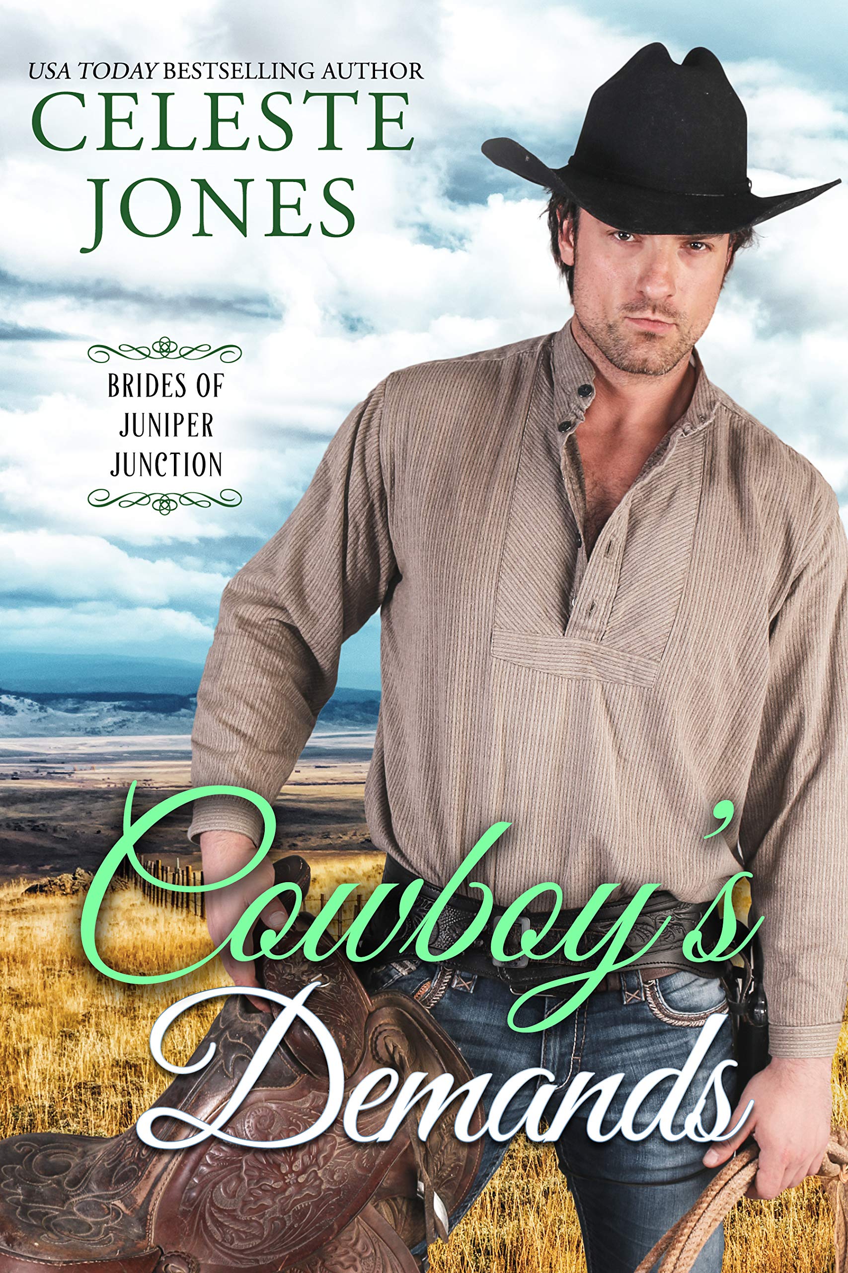 Cowboy's Demands book cover