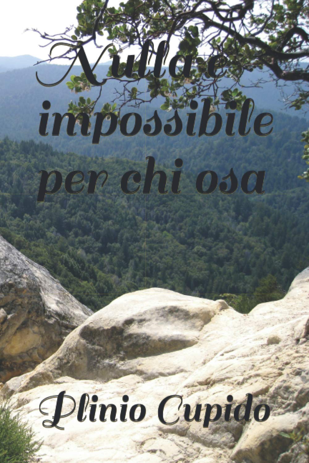 3 Ottobre frase di oggi: nulla è impossibile per colui che osa