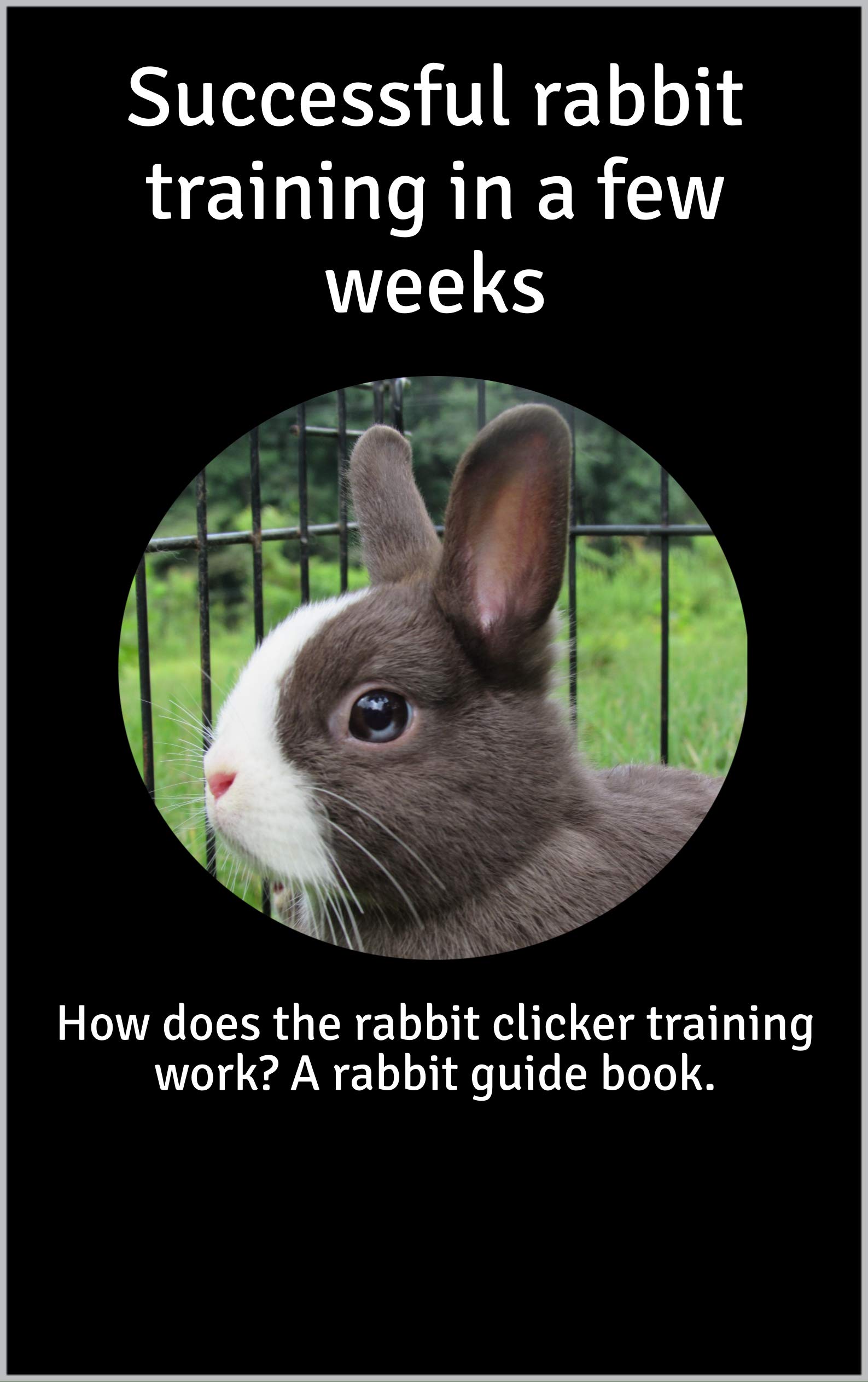 Successful rabbit training in a few weeks How does the rabbit clicker