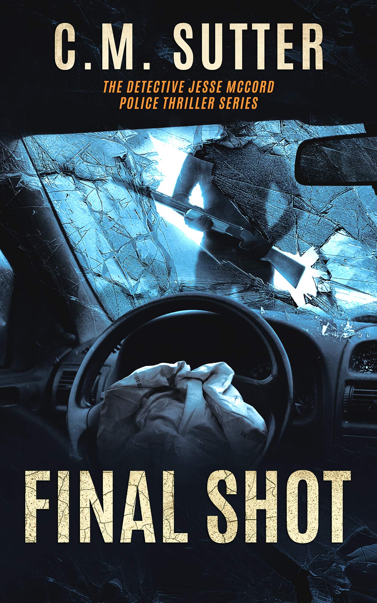 Final Shot book cover