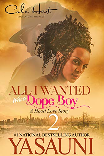 All I Wanted Was A Dope Boy 2 book cover