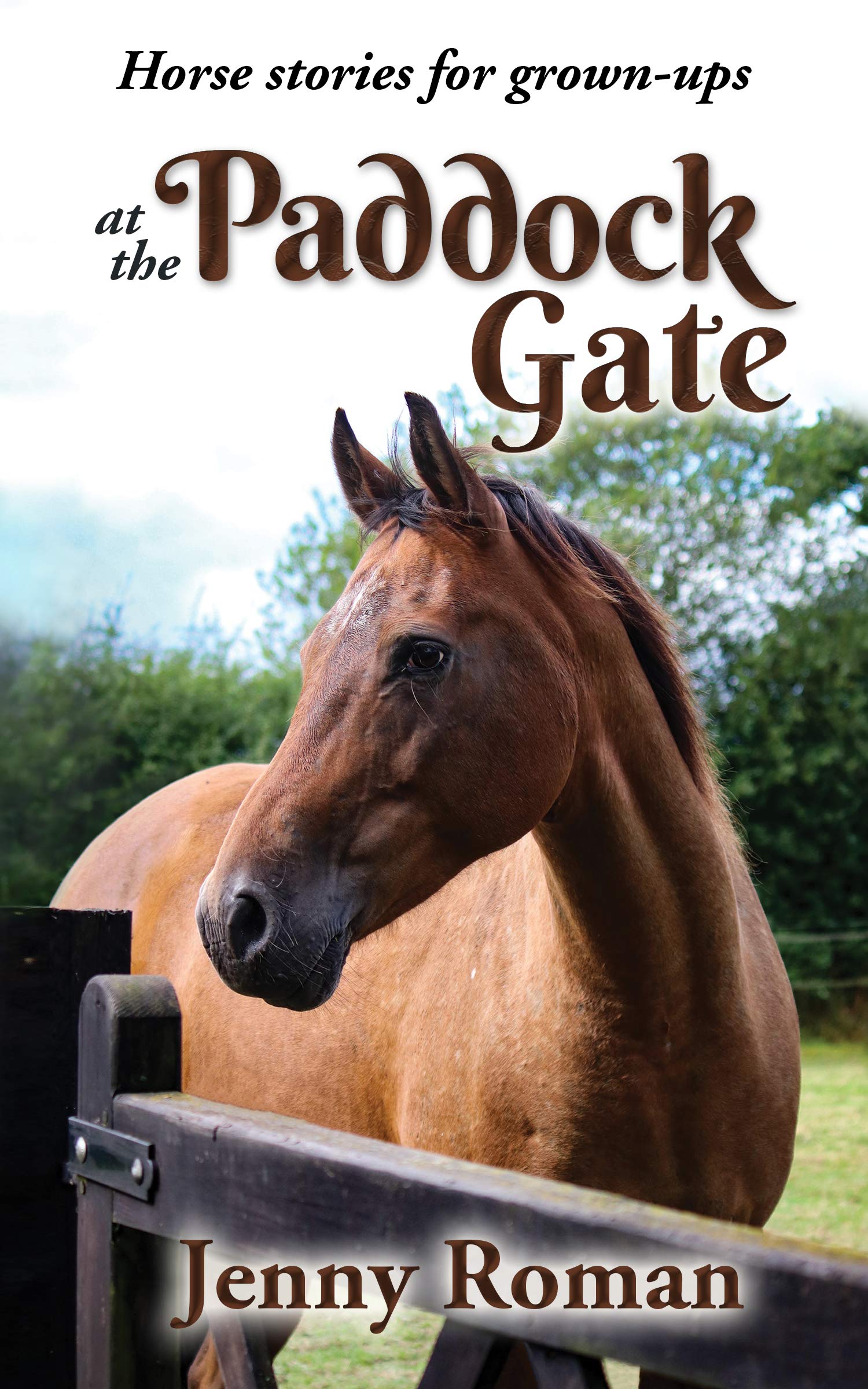 At the Paddock Gate: Horse stories for grown-ups