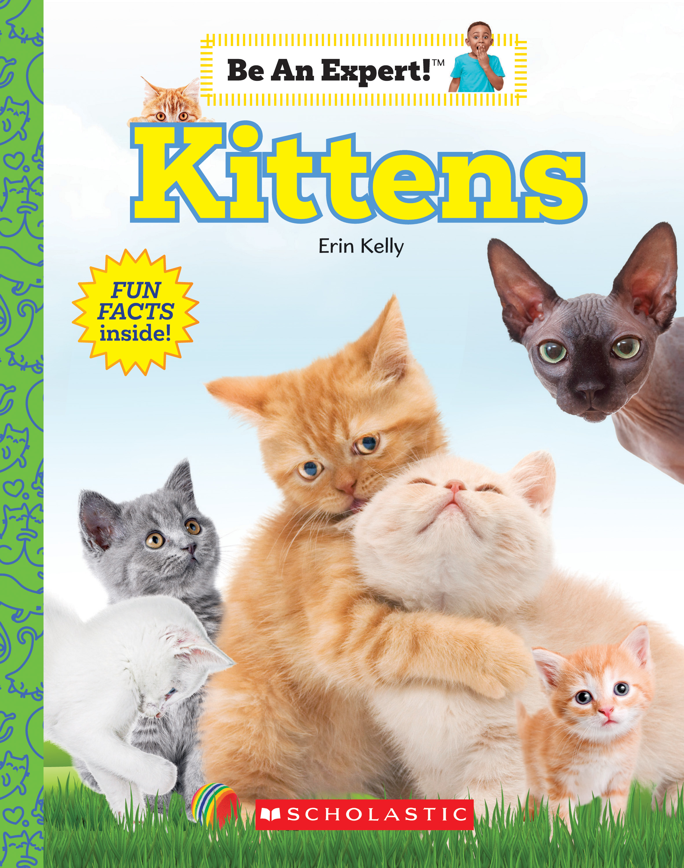 Kittens (Be An Expert!) (paperback) by Erin Kelly Goodreads