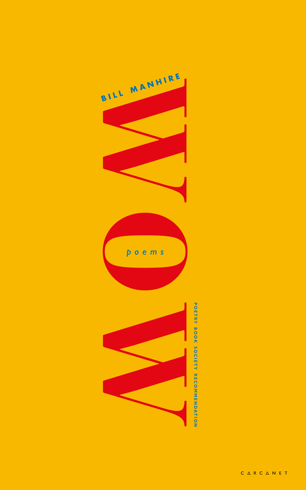 Wow book cover