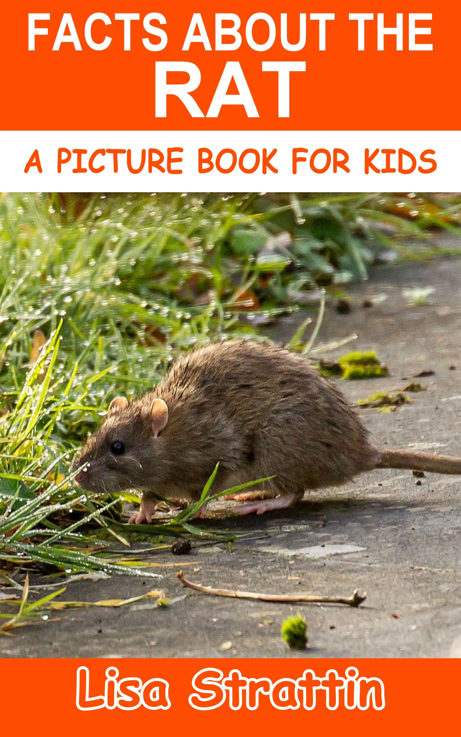Facts About the Rat (A Picture Book For Kids 258) by Lisa Strattin ...