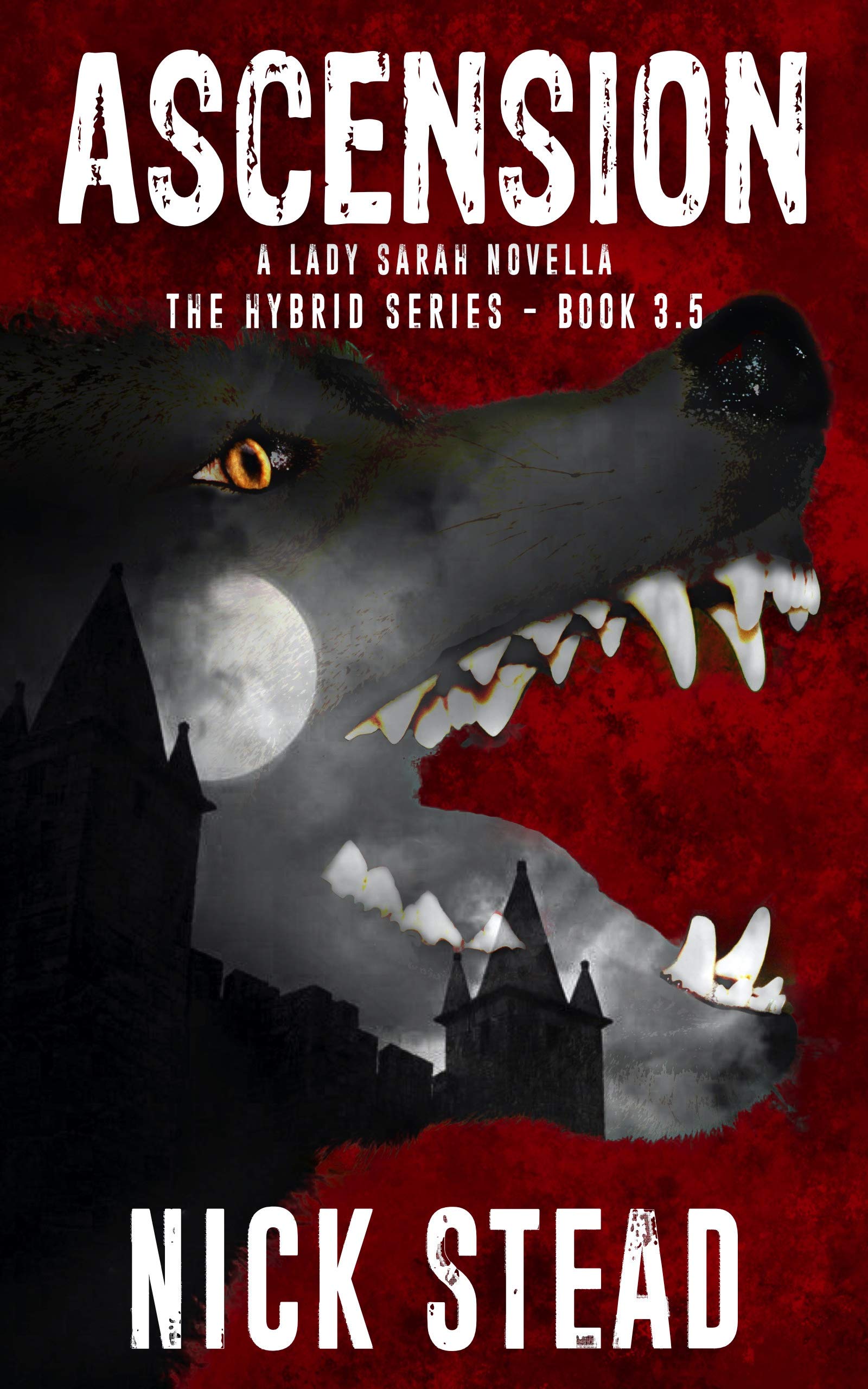 Ascension book cover