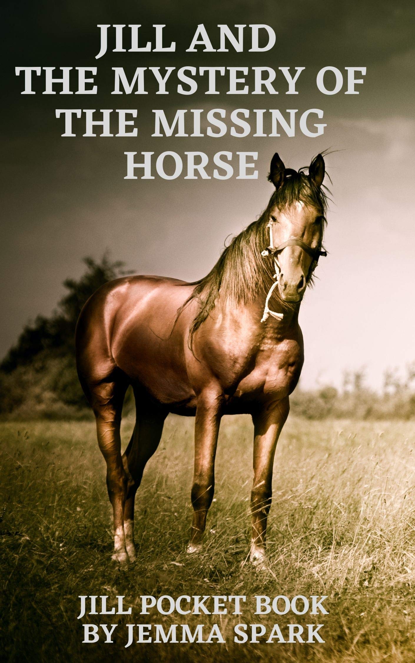 Jill and the Mystery of the Missing Horse