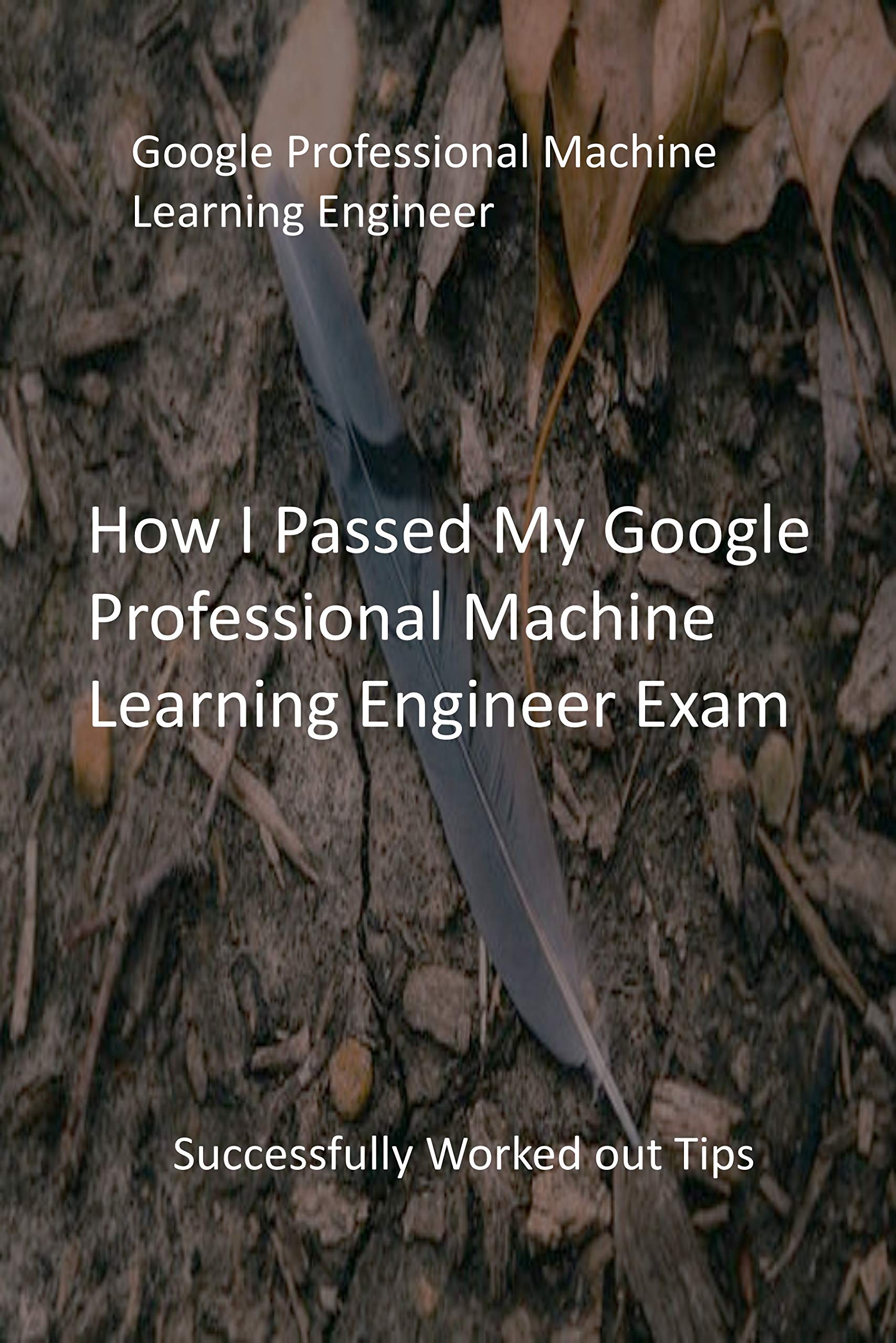 Professional-Machine-Learning-Engineer問題集無料
