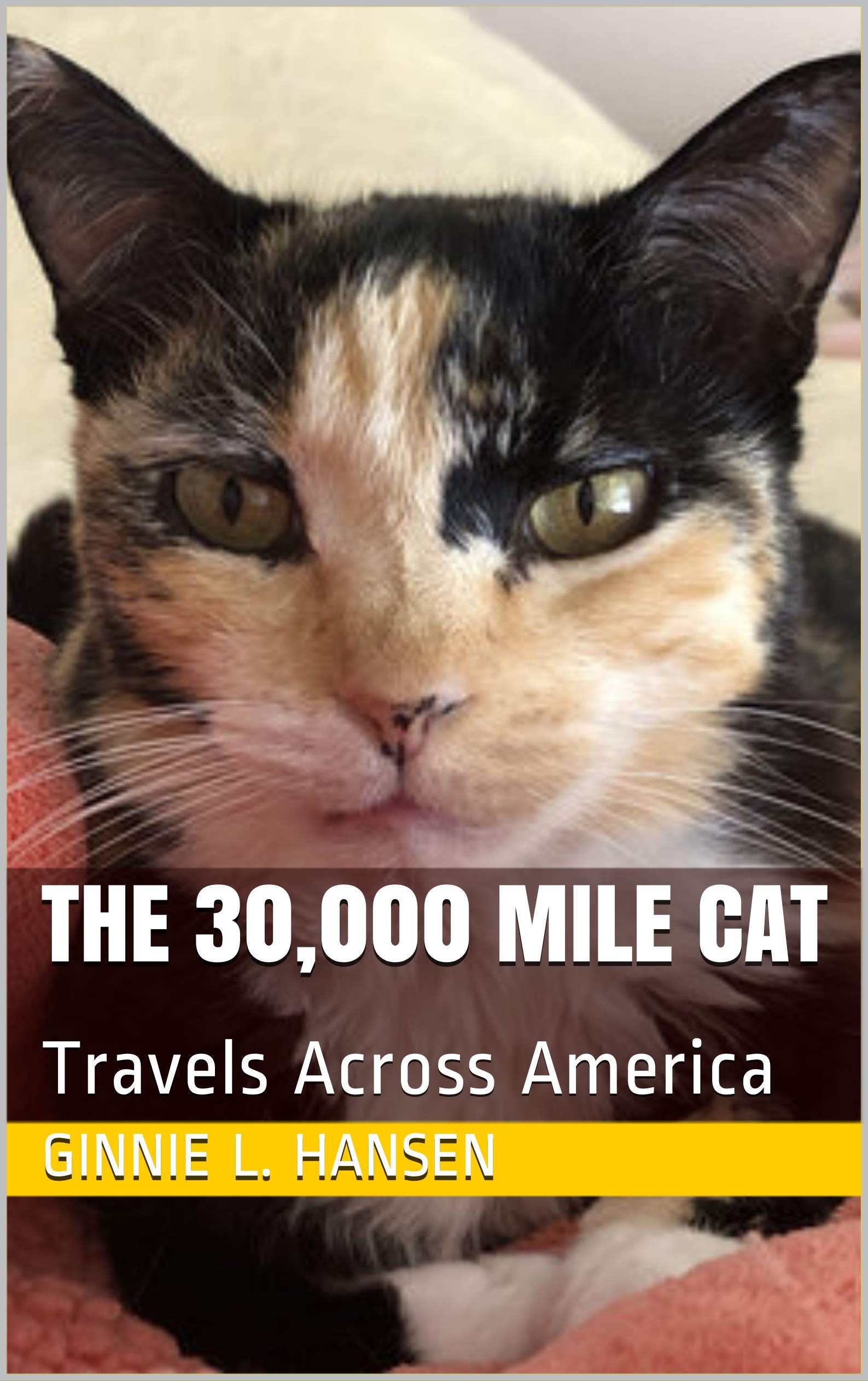 The 30,000 Mile Cat: Travels Across America