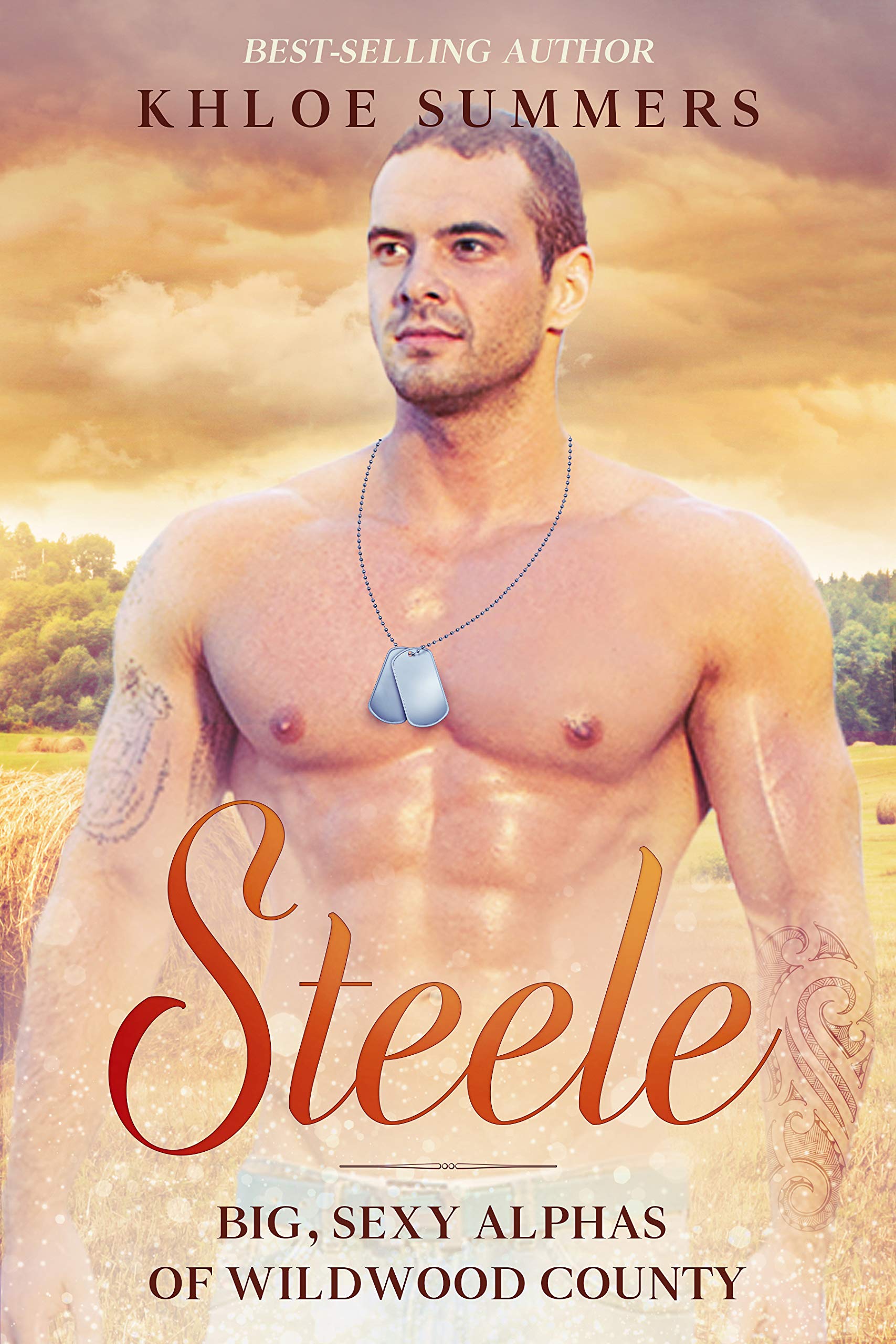 Steele book cover