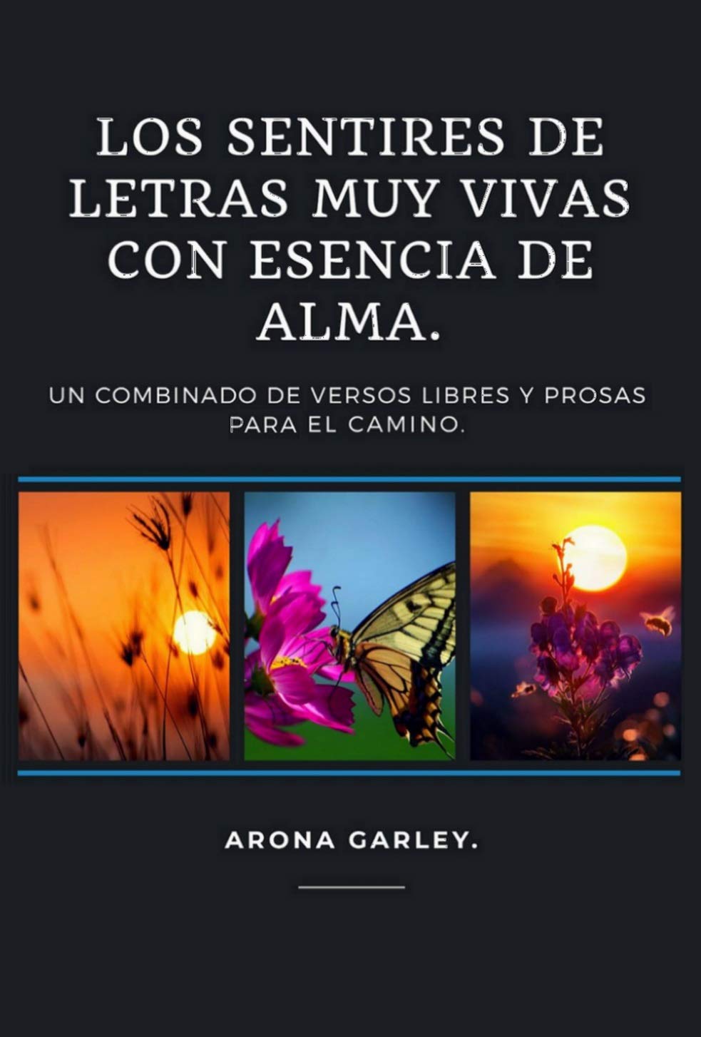 Los sentires de letras muy vivas con esencia de alma: Un combinado de ...