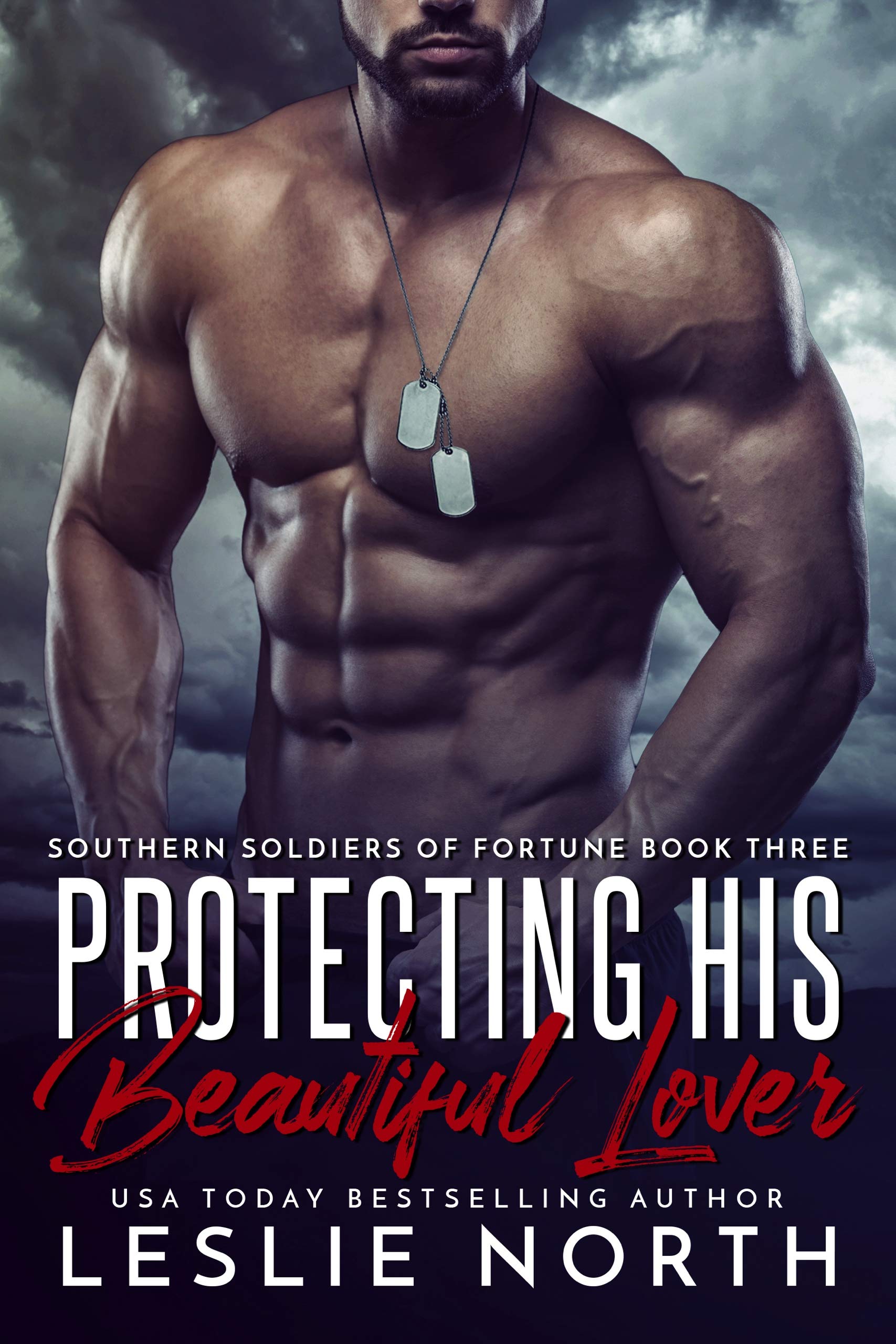 Southern Soldiers of Fortune book cover 3