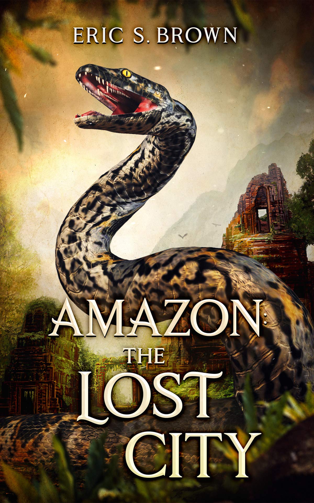 Amazon book cover