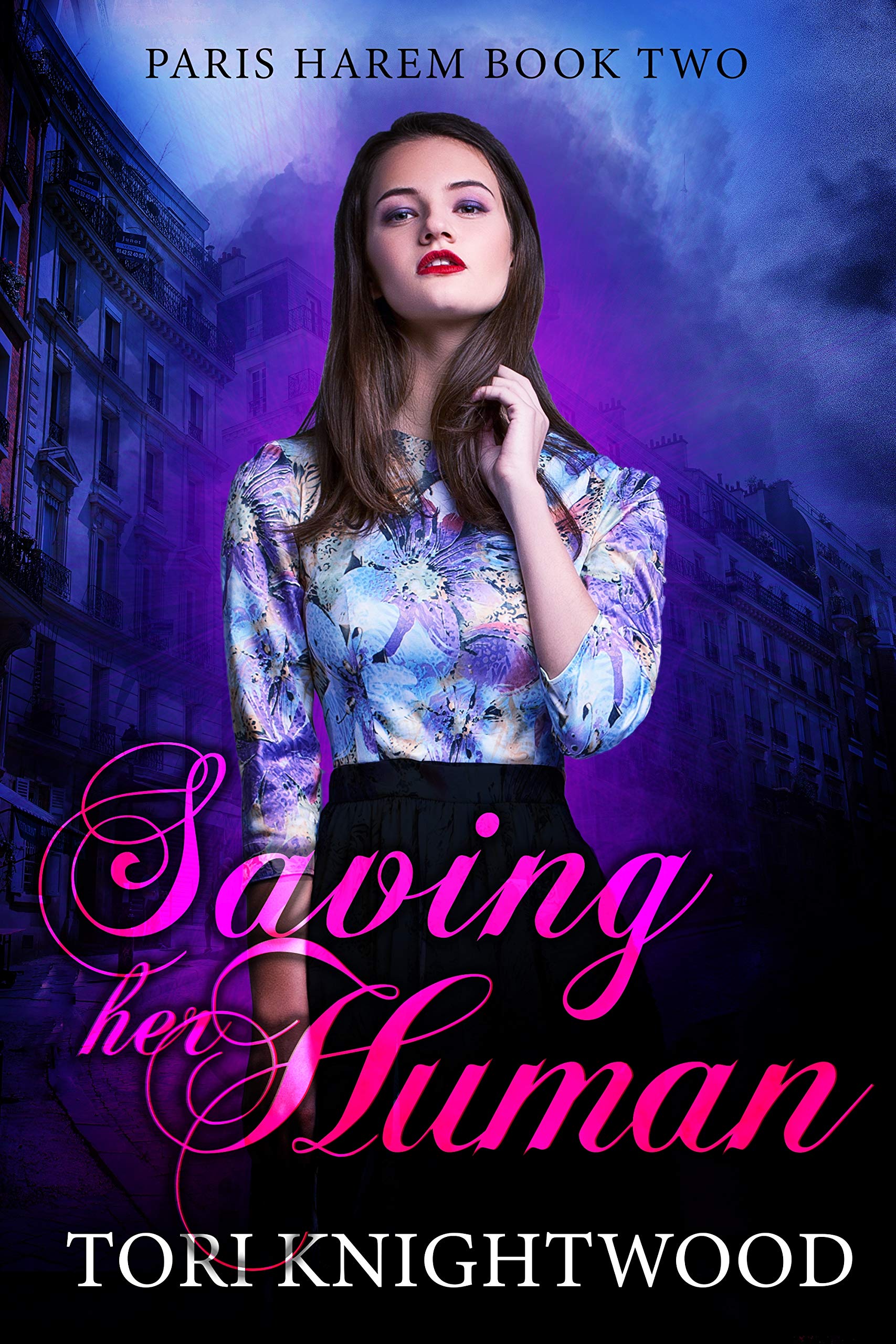 Paris Harem book cover 2
