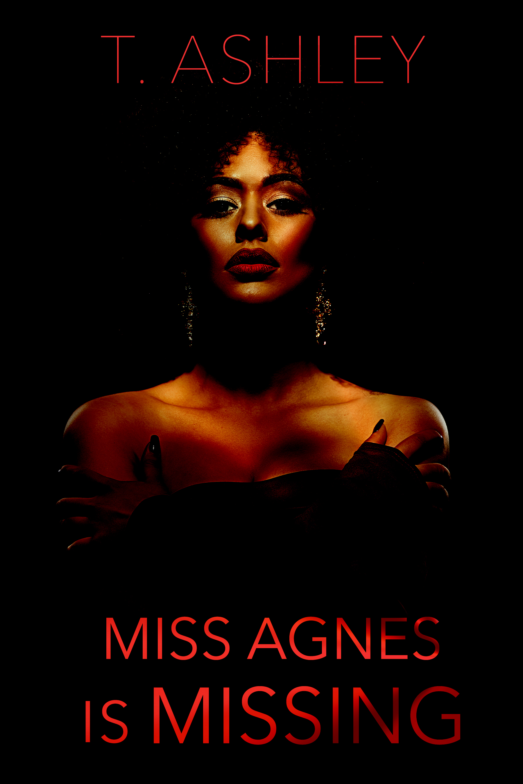 Miss Agnes Is Missing book cover