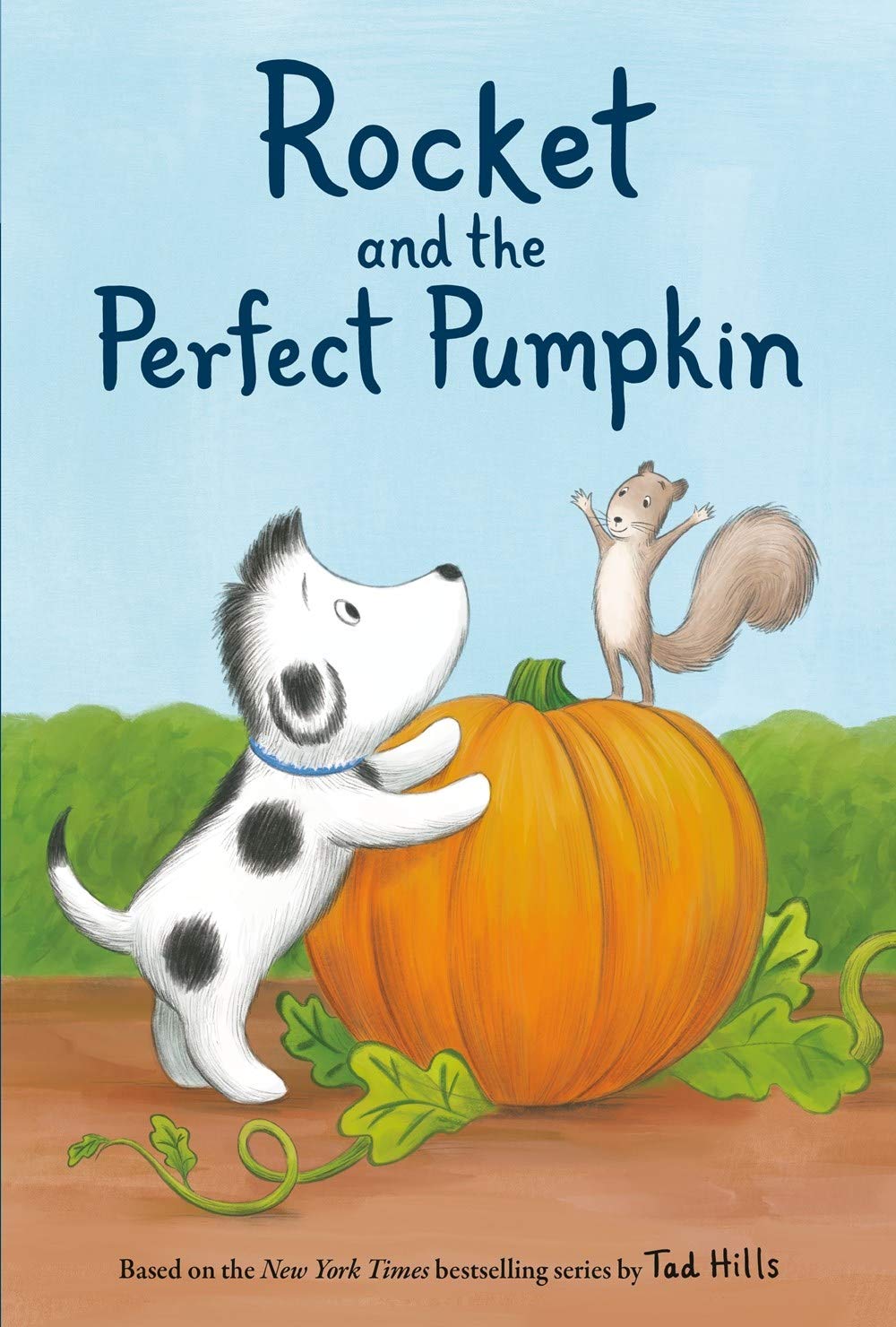 Rocket and the Perfect Pumpkin book cover