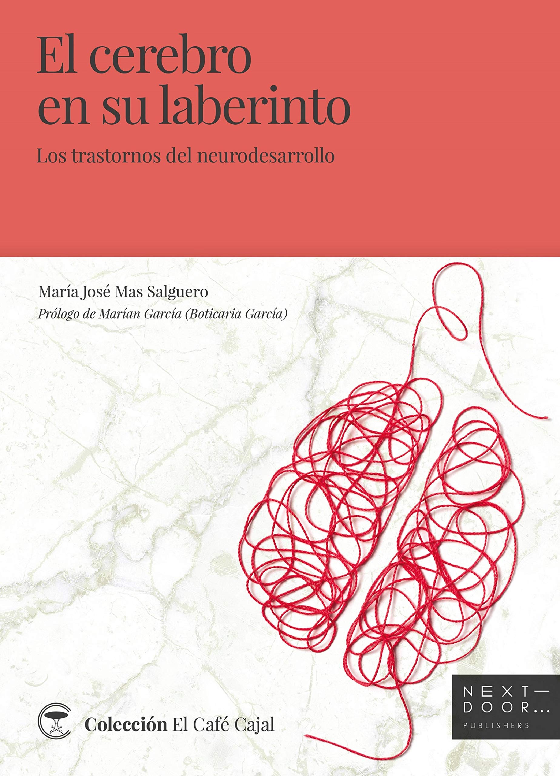 El cerebro en su laberinto book cover