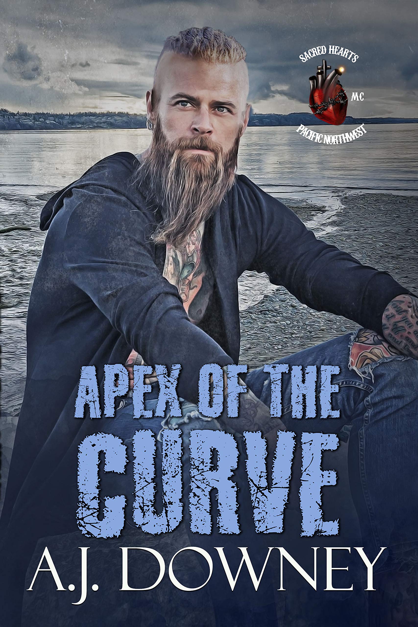 Apex Of The Curve book cover