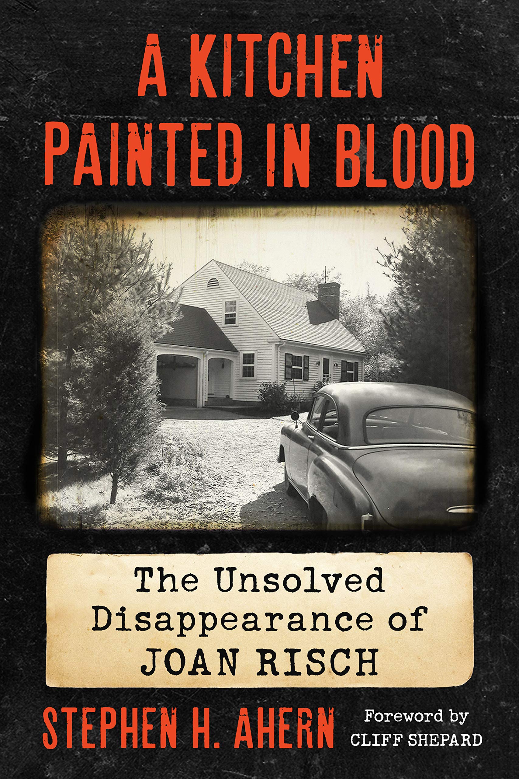 A Kitchen Painted In Blood The Unsolved Disappearance Of Joan Risch By 