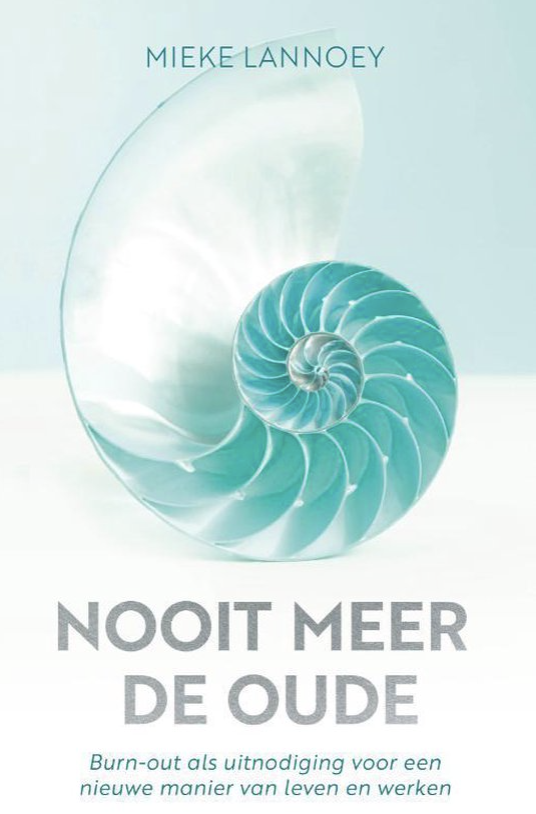 Nooit meer de oude - Burn-out als uitnodiging voor een nieuwe manier van leven en werken