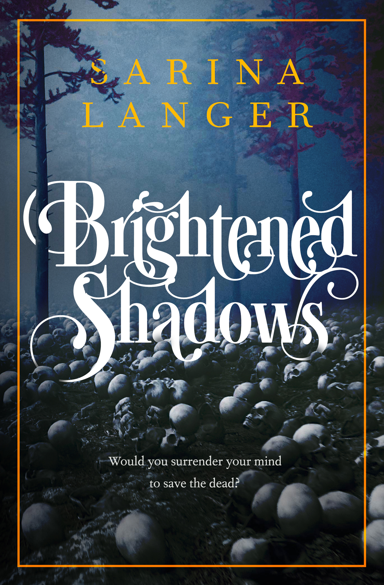 Brightened Shadows book cover