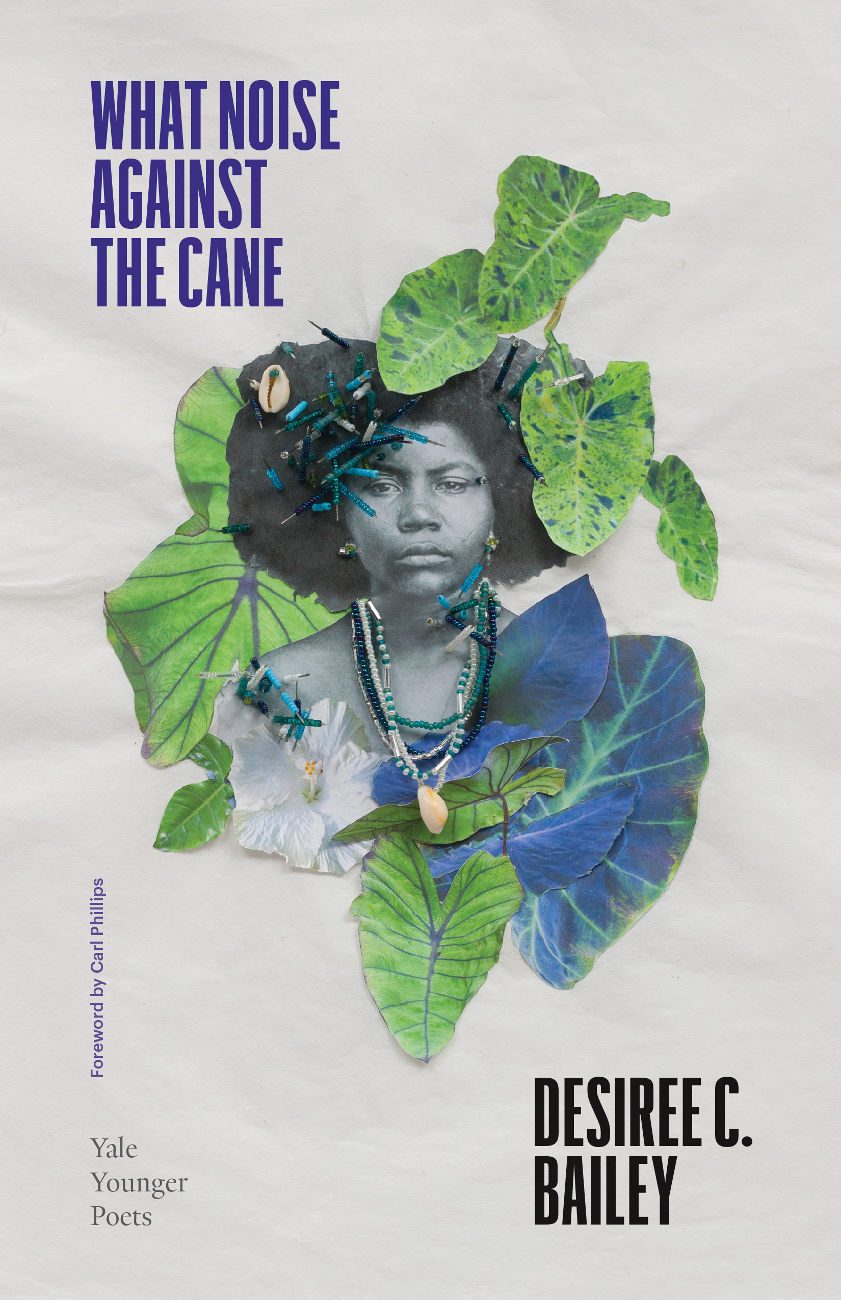 What Noise Against the Cane (Volume 115)