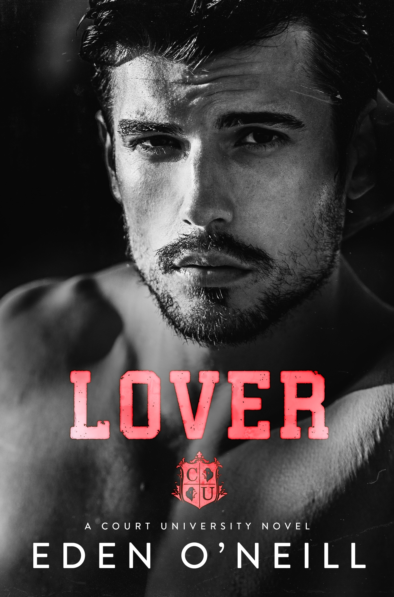 Lover book cover